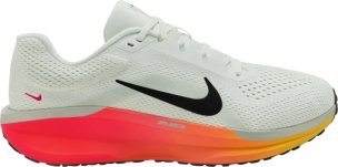 pánské běžecké boty Nike Winflo 11