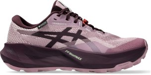 dámské běžecké boty Asics Gel-Trabuco 14 GTX