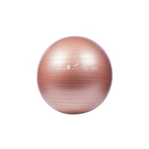 gymball Energetics 55 cm
