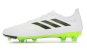 náhled kopačky Adidas Copa Pure.2 FG