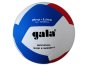 náhled volejbalový míč Gala Pro - line 12 BV5585SA