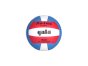 náhled volejbalový míč Gala Pro Line BV4051