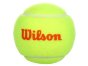 náhled dětský tenisový míček Wilson Starter Orange 1ks
