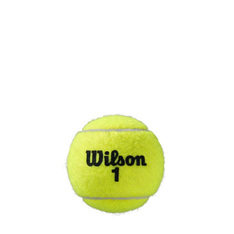 detail míčky Wilson Roland Garros Clay 4ks