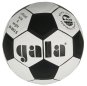 náhled nohejbalový míč Gala 5012