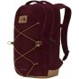 náhled batoh The North Face Jester Pro Daybag