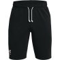 náhled pánské kraťasy Under Armour Rival Terry Short